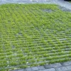 Gardenlux Waterpasserende Aqua Bricks Aqua Brick 22% open 10x30x8 cm
