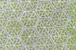 Gardenlux Waterpasserende Eco Tegel Oud Hollands Eco Tegel 37,5x37,5x7 cm