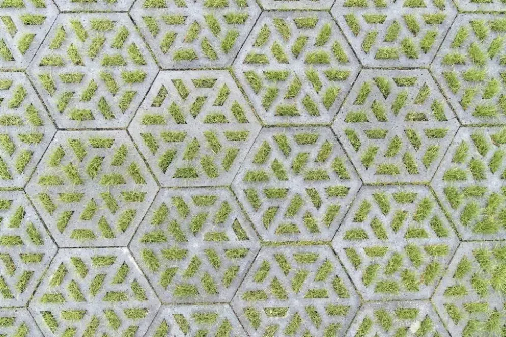 Gardenlux Waterpasserende Eco Tegel Oud Hollands Eco Tegel 37,5x37,5x7 cm