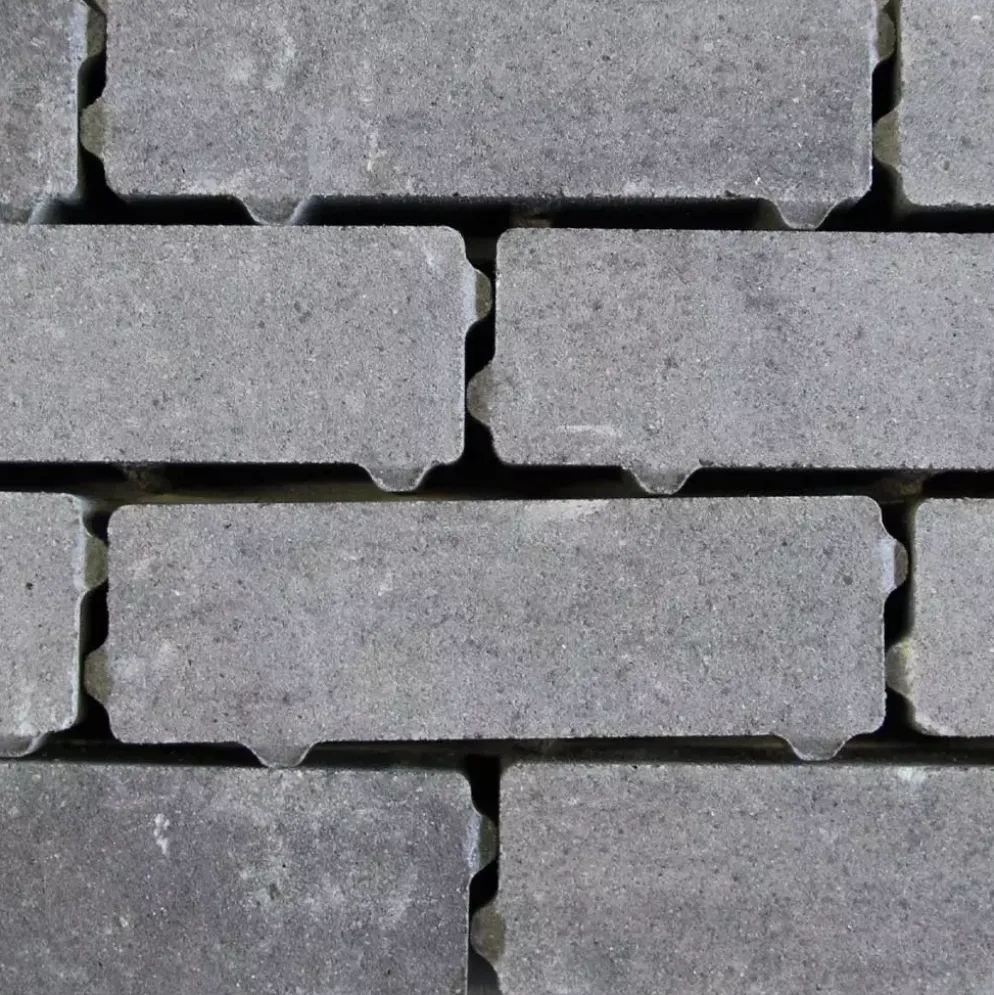 Gardenlux Waterpasserende Eco Bricks Geïmpregneerd Veerse 7x21x8 cm