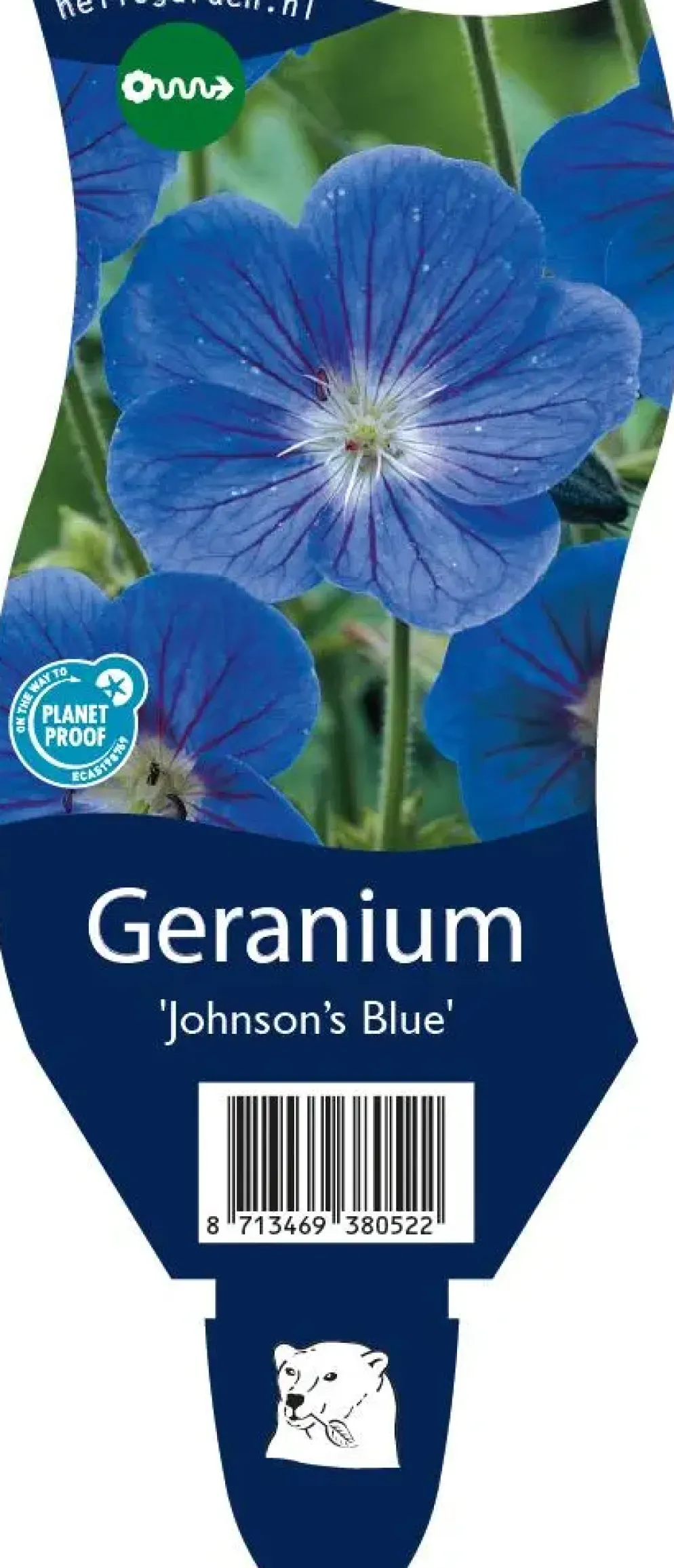 Geranium 'Johnson's Blue' (Ooievaarsbek)
