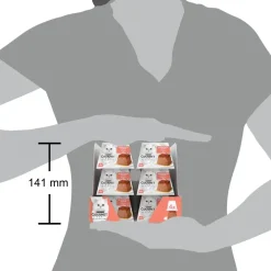 Gourmet Revelations mousse zalm 4st, 57g