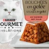 GOURMET Revelations Stukjes in Gelei met Zalm kattenvoer 4x57g