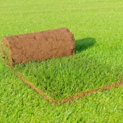 Graszoden 250x40 cm | kwaliteit: speelgazon (sterke grassoort voor diverse toepassingen)