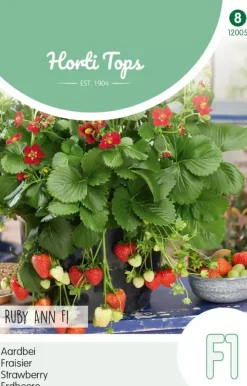 Horti tops zaden Aardbeien Ruby Ann F1 (hangaardbei)