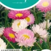 Horti tops zaden Acroclinium dubbelbloemig gemengd