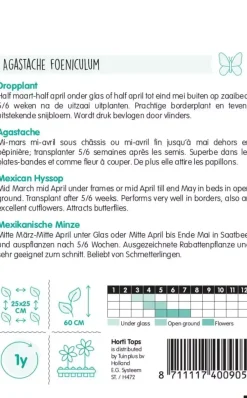 Horti tops zaden Agastache, Dropplant (mexicana)