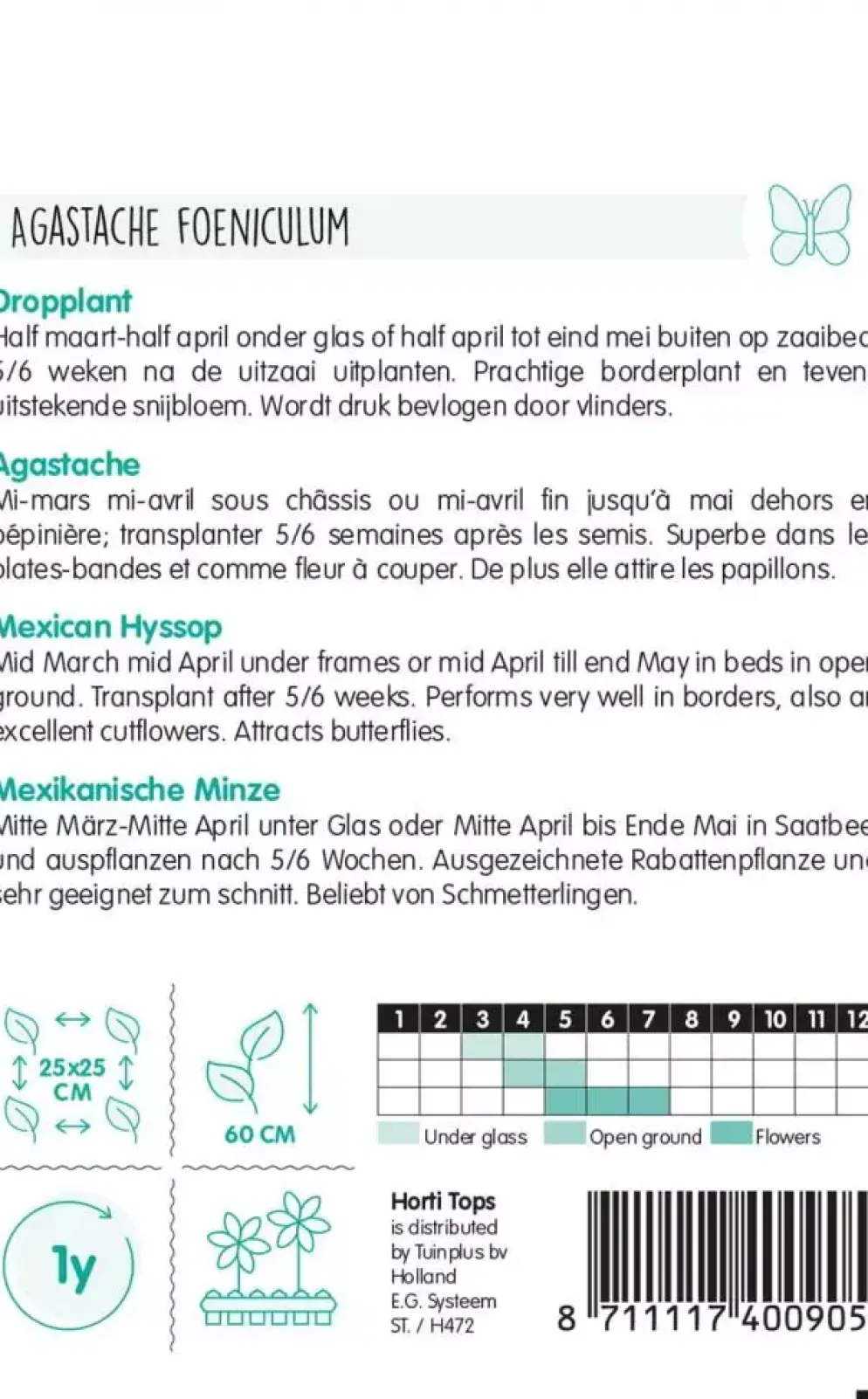Horti tops zaden Agastache, Dropplant (mexicana)