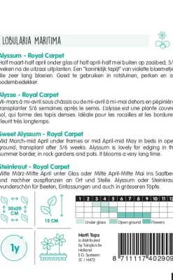 Horti tops zaden alyssum royal carpet