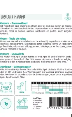 Horti tops zaden Alyssum Sneeuwkleed