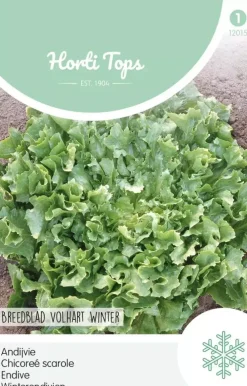 Horti tops zaden andijvie breedblad volhart winter