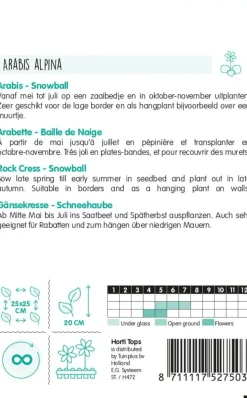 Horti tops zaden Arabis, Scheefkelk Snowball