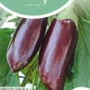 Horti tops zaden aubergine halflange violette lunga 2