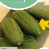 Horti tops zaden augurken hokus