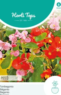 Horti tops zaden begonia, tuinbegonia gemengd