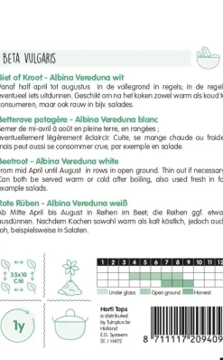 Horti tops zaden Bieten Albina Vereduna wit