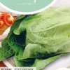 Horti tops zaden bindsla blanke zelfsluitende