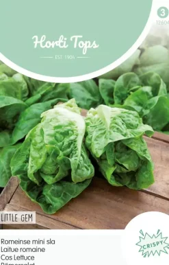 Horti tops zaden bindsla romeinse mini sla little gem
