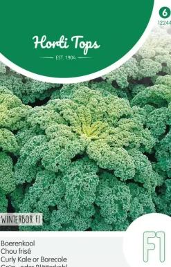 Horti tops zaden boerenkool reflex f1
