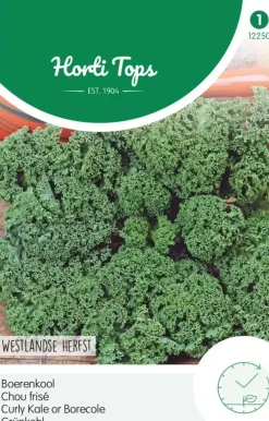 Horti tops zaden boerenkool westlandse herfst (laat type)