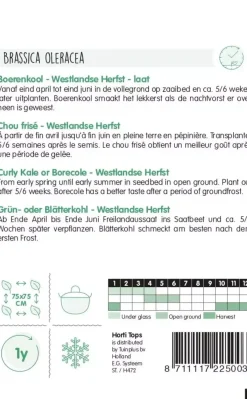 Horti tops zaden boerenkool westlandse herfst (laat type)