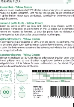 Horti tops zaden bosaardbei - yellow cream