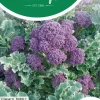 Horti tops zaden broccoli summer purple