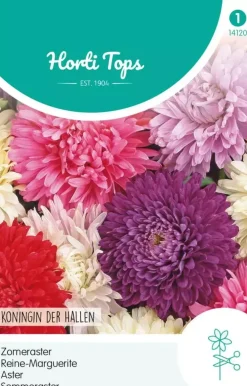 Horti tops zaden callistephus chinensis koningin