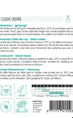 Horti tops zaden celosia, hanenkam gemengd