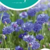 Horti tops zaden centaurea, korenbloem blue ball