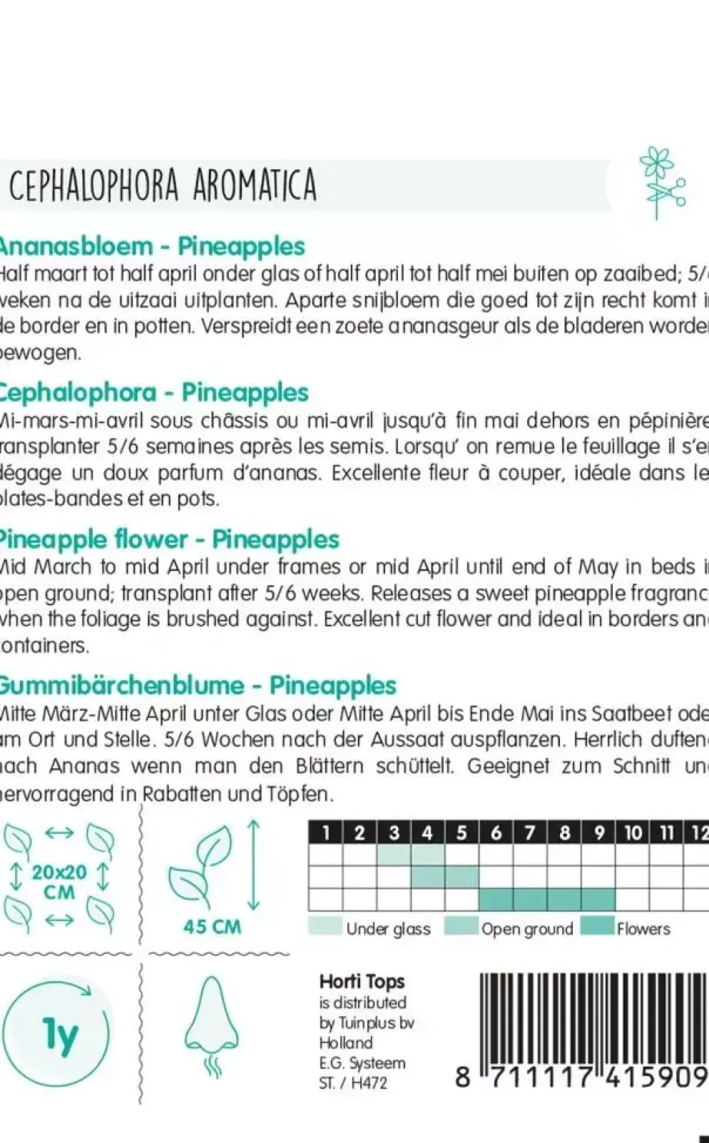Horti tops zaden Cephalophora, Ananasbloem Pineapples