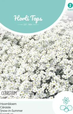 Horti tops zaden cerastium, hoornbloem wit