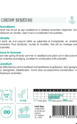 Horti tops zaden cerastium, hoornbloem wit