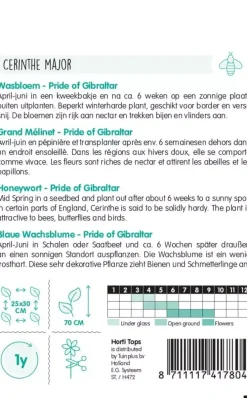 Horti tops zaden cerinthe, wasbloem pride of gibraltar