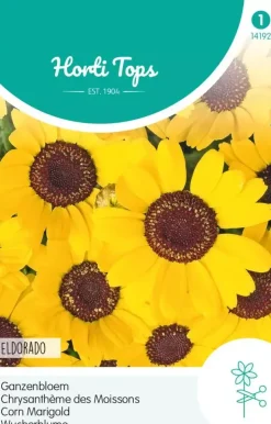 Horti tops zaden chrysanthemum, ganzebloem eldorado geel