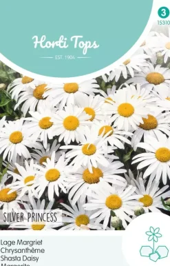 Horti tops zaden chrysanthemum, lage margriet silver princess