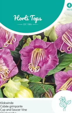Horti tops zaden cobaea, Klokwinde blauw