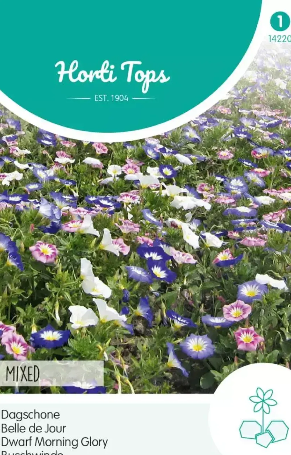 Horti tops zaden convolvulus, dagschone gemengd