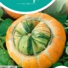 Horti tops zaden cucurbita, sierkalebas turkse muts