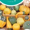 Horti tops zaden cucurbita, sierkalebas kleinvruchtig gemengd