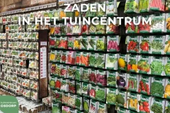 Horti tops zaden cucurbita, sierkalebas kleinvruchtig gemengd