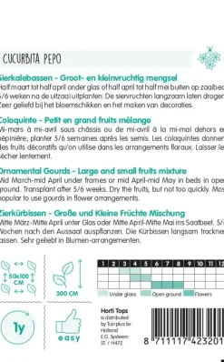 Horti tops zaden cucurbita, sierkalebas groot- en kleinvruchtig gemengd