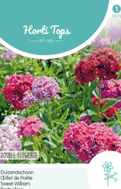 Horti tops zaden dianthus, duizendschoon dubbelbloemig gemengd