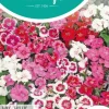 Horti tops zaden dianthus, duizendschoon wee willie gemengd