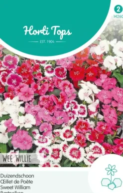 Horti tops zaden dianthus, duizendschoon wee willie gemengd