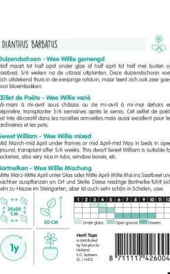 Horti tops zaden dianthus, duizendschoon wee willie gemengd