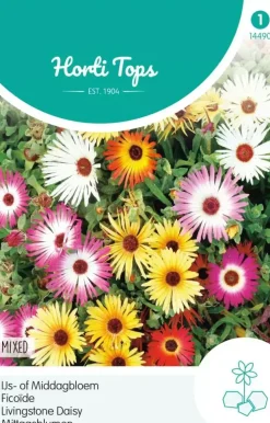 Horti tops zaden dorotheanthus, ijs- of middagbloem gemengd