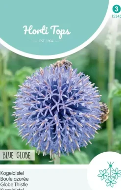 Horti tops zaden echinops, kogeldistel blue globe