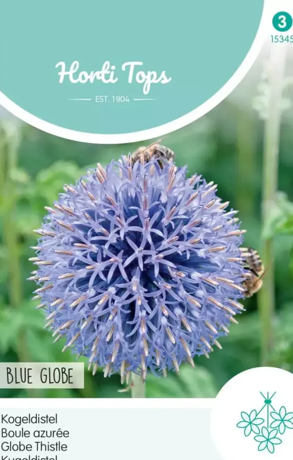 Horti tops zaden echinops, kogeldistel blue globe