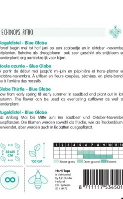 Horti tops zaden echinops, kogeldistel blue globe